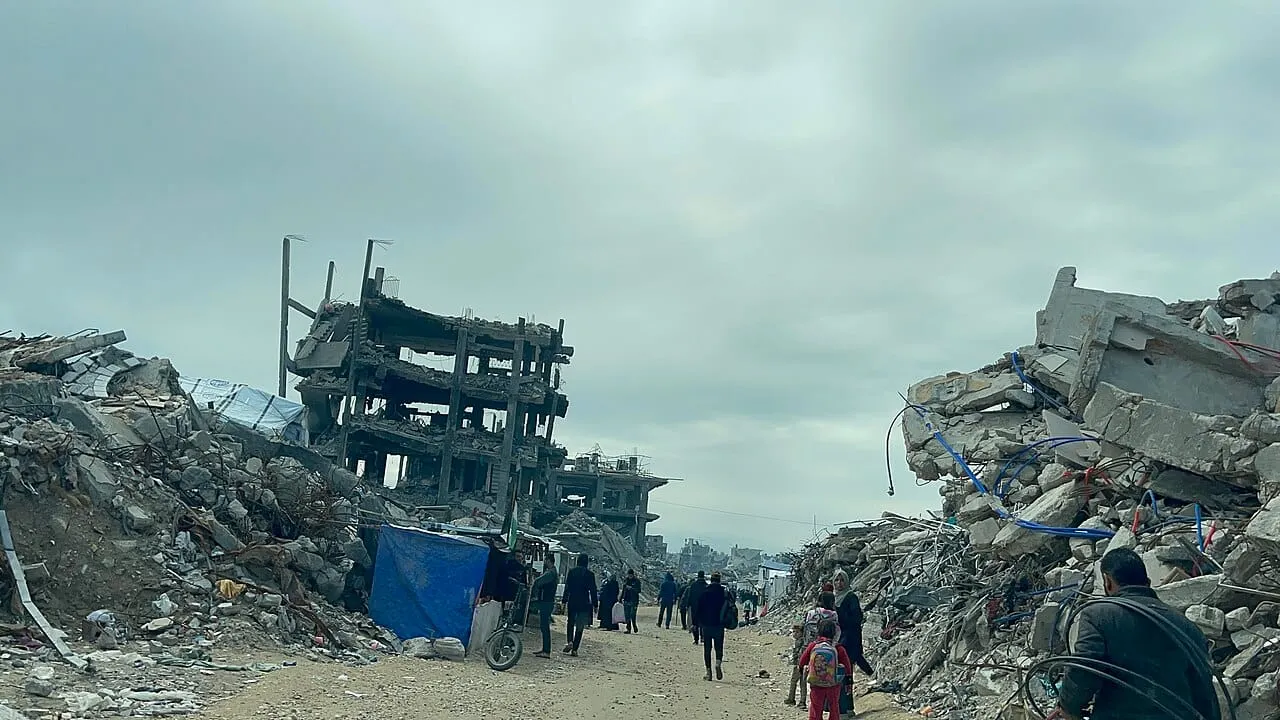 The Demographic Collapse of Gaza