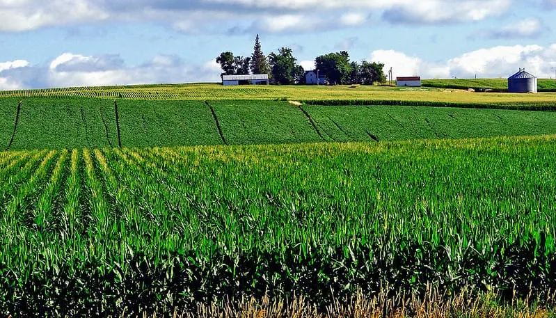 Food-Farm World Crisis—Even Worse than It Appears; Collaboration Is Urgent for Emergency Production