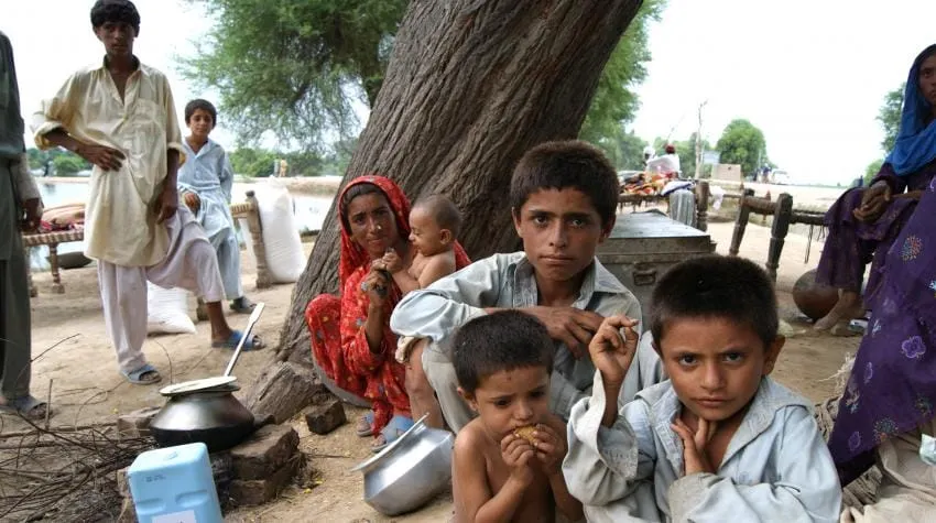 UN's FAO World Food Price Index Documents Hikes in Grain Prices