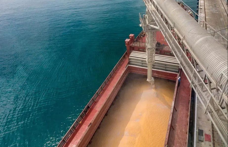 Global Wheat Price Jumps