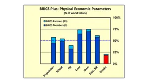 Some Physical Economic Parameters of the Newly-Expanded BRICS Plus