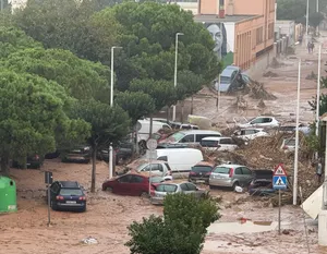 Floods and Green Vultures Devastate Valencia, Spain