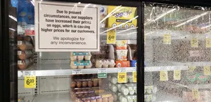 USDA's Five-Point Plan To Fight Bird Flu, Egg Shortage