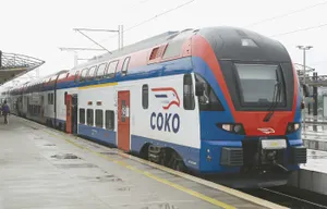 The New Way of Cooperation Among the South-South Countries Inspired by China: The View from Serbia