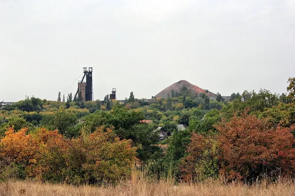 Trump Administration Seeks Ukraine's Resource Revenues without Security Guarantees
