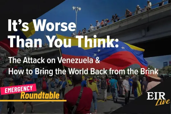 EIR Emergency Roundtable Mobilizes Global Response To ‘Bring the World Back from the Brink’