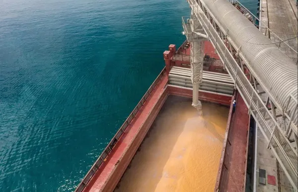 Global Wheat Price Jumps