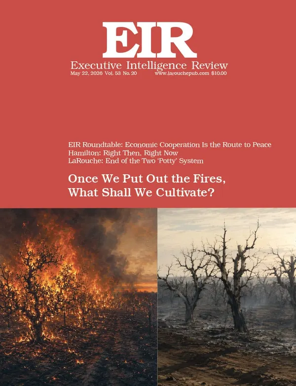 Once We Put Out the Fires, What Shall We Cultivate?
