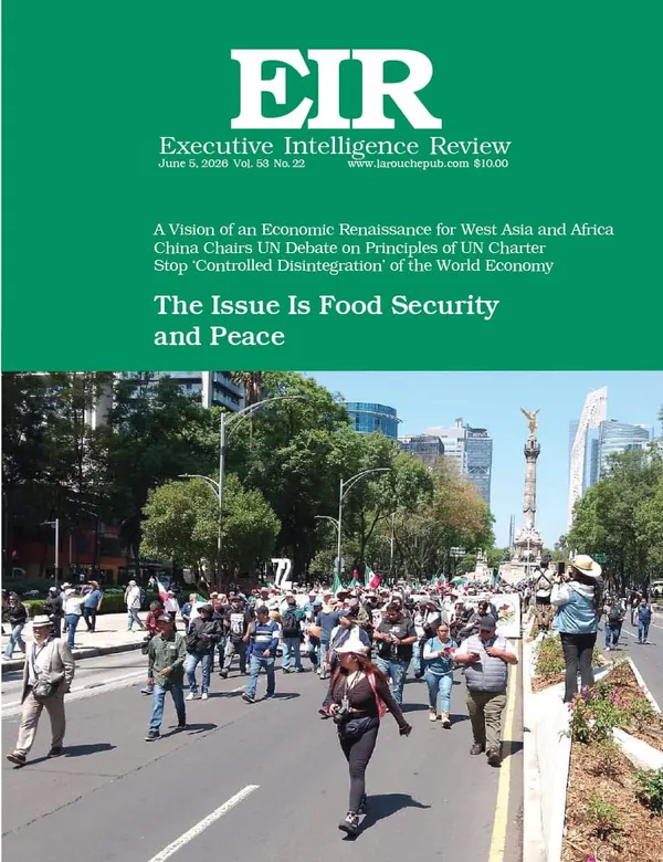The Issue Is Food Security and Peace