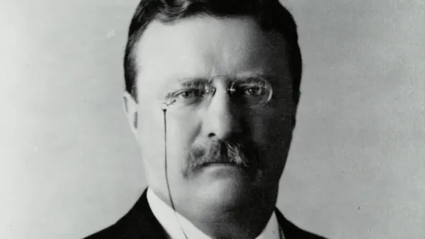The Theodore Roosevelt Coup d’État