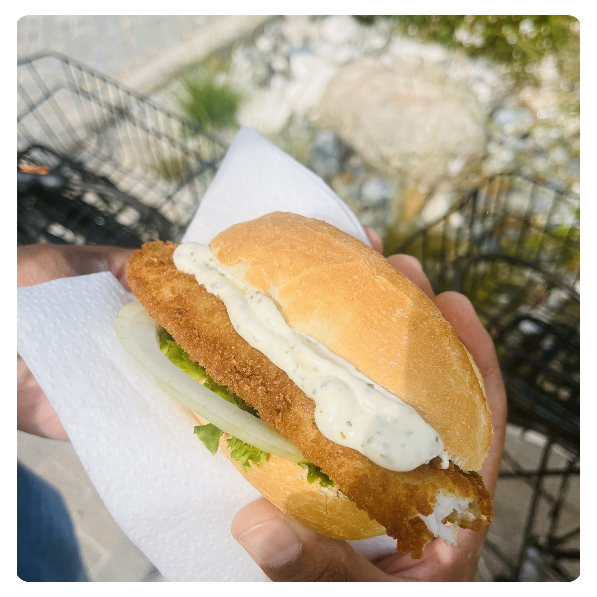 Breaded fish fillet in bread roll with tartare sauce and salad