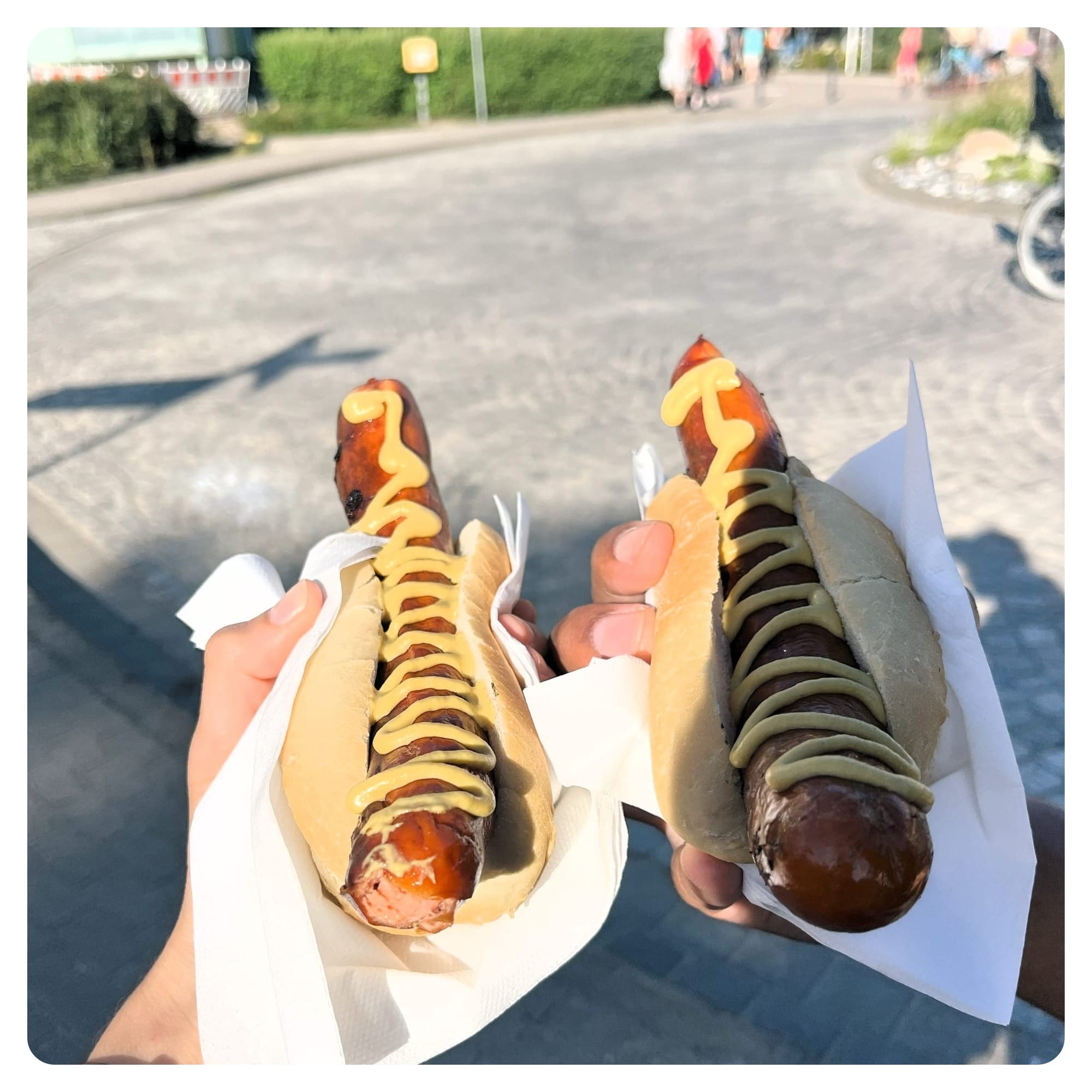 Two German sausages with mustard in bread buns in Karlshagen
