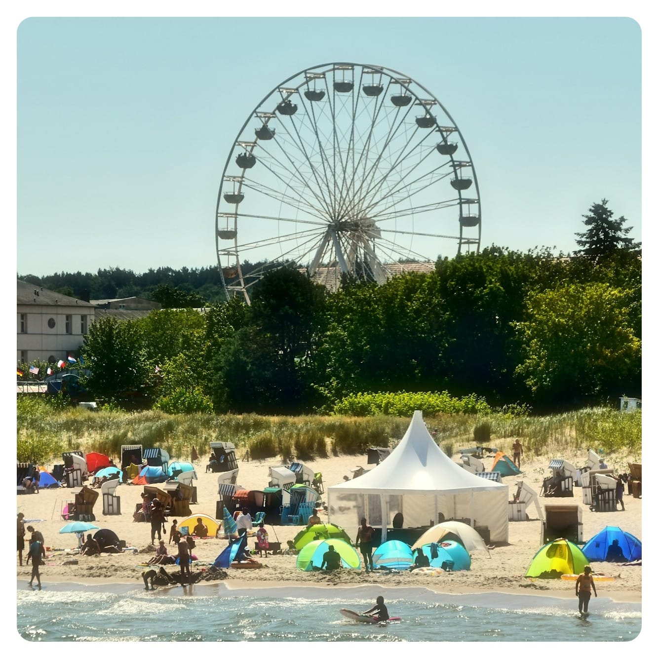 people on beach during daytime