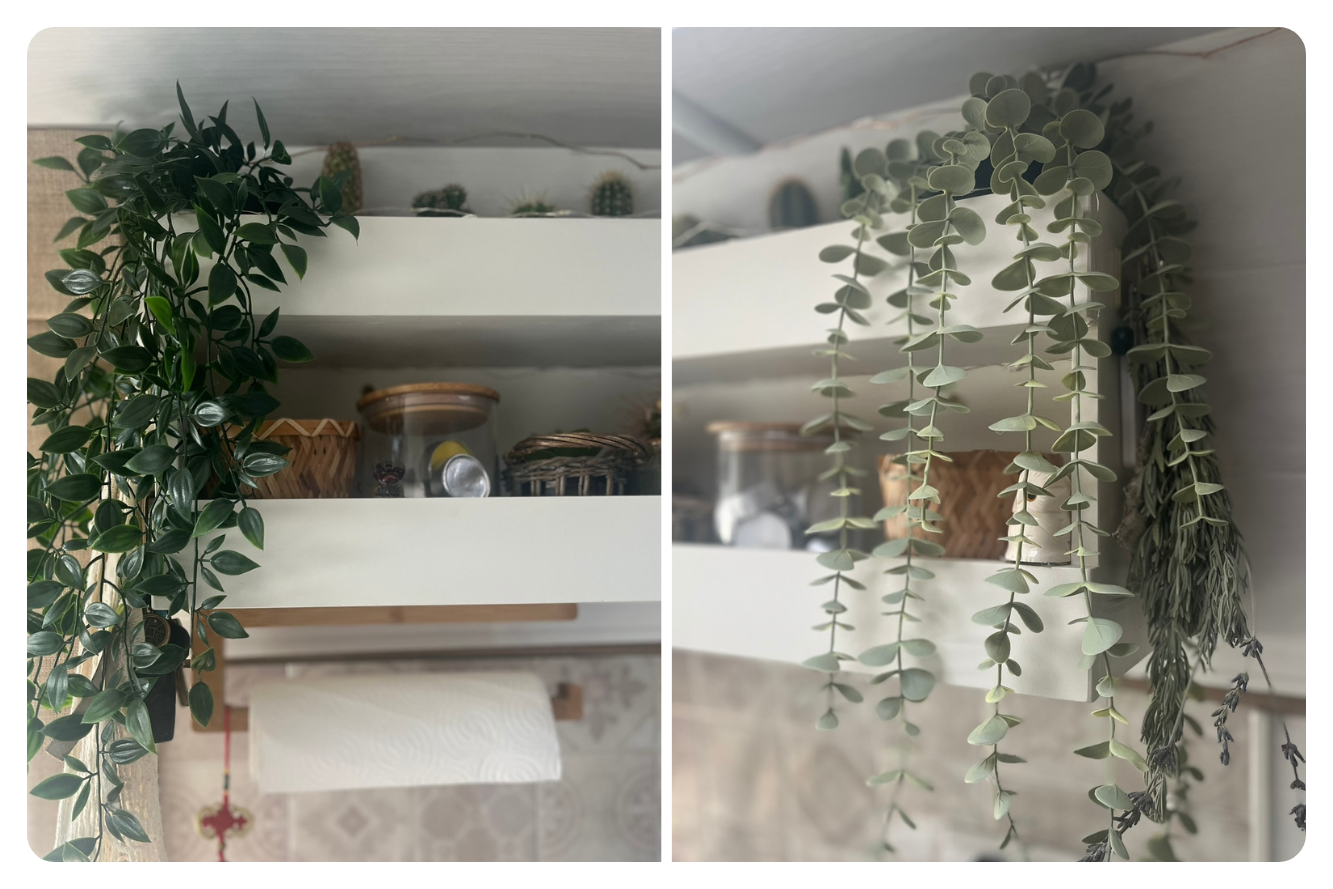 van life shelving with fake plants