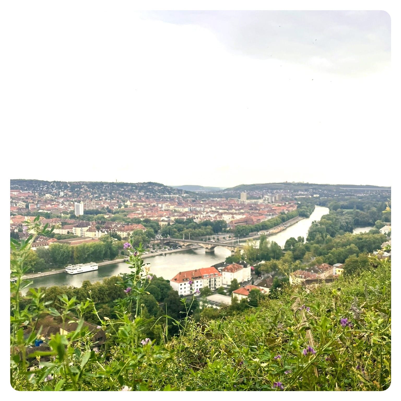 view over the city and river in Wurzburg