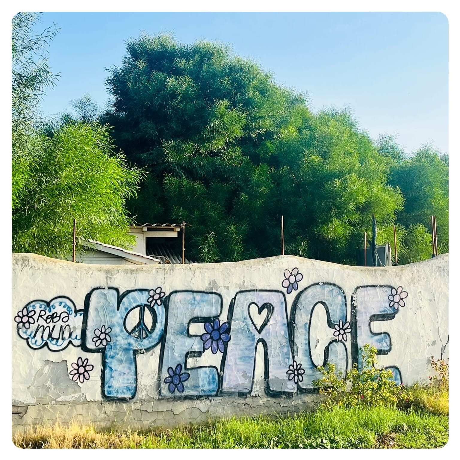 graffiti of the word 'peace' on a white concrete wall