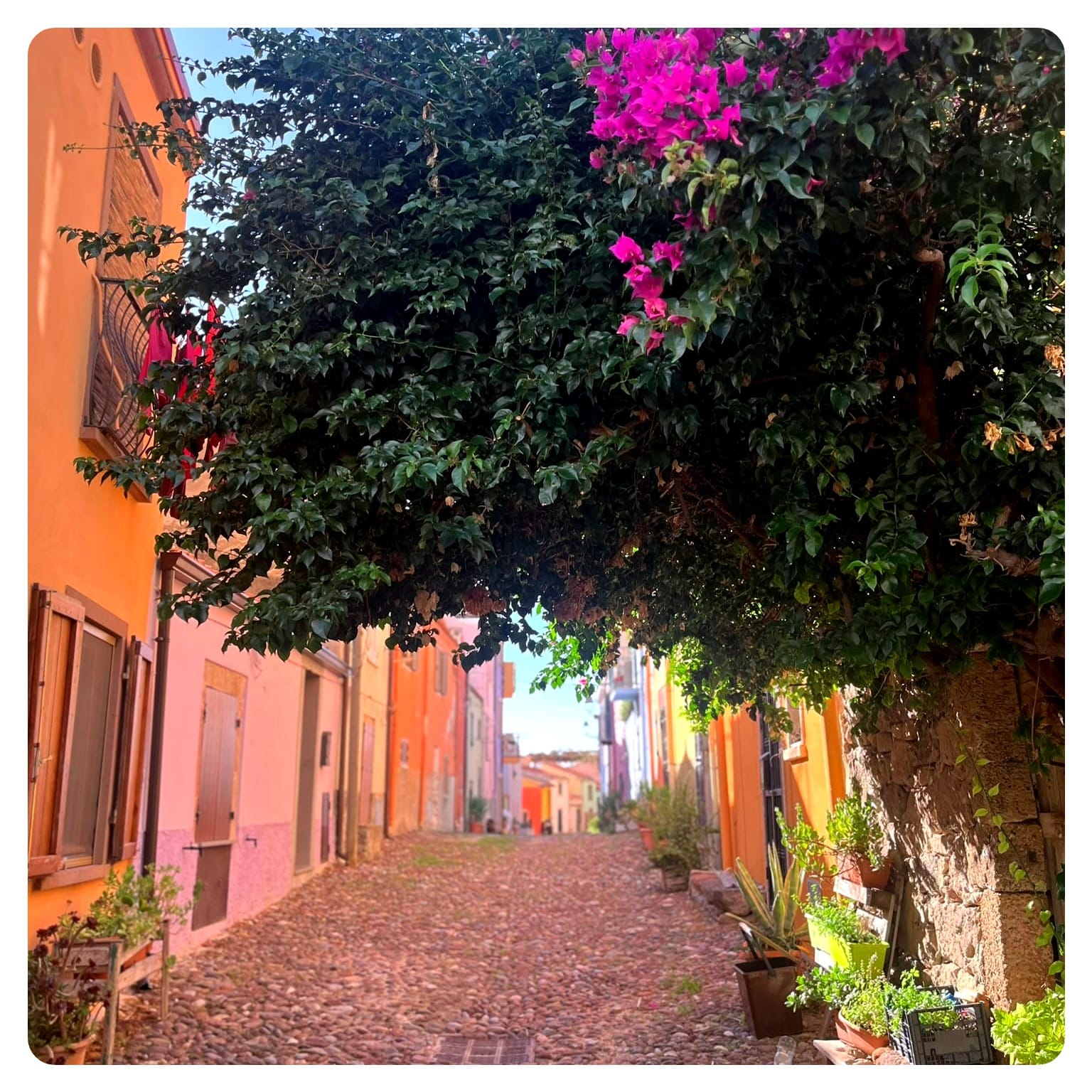 colourful row of houses in Bosa along cobblestone street and flowers