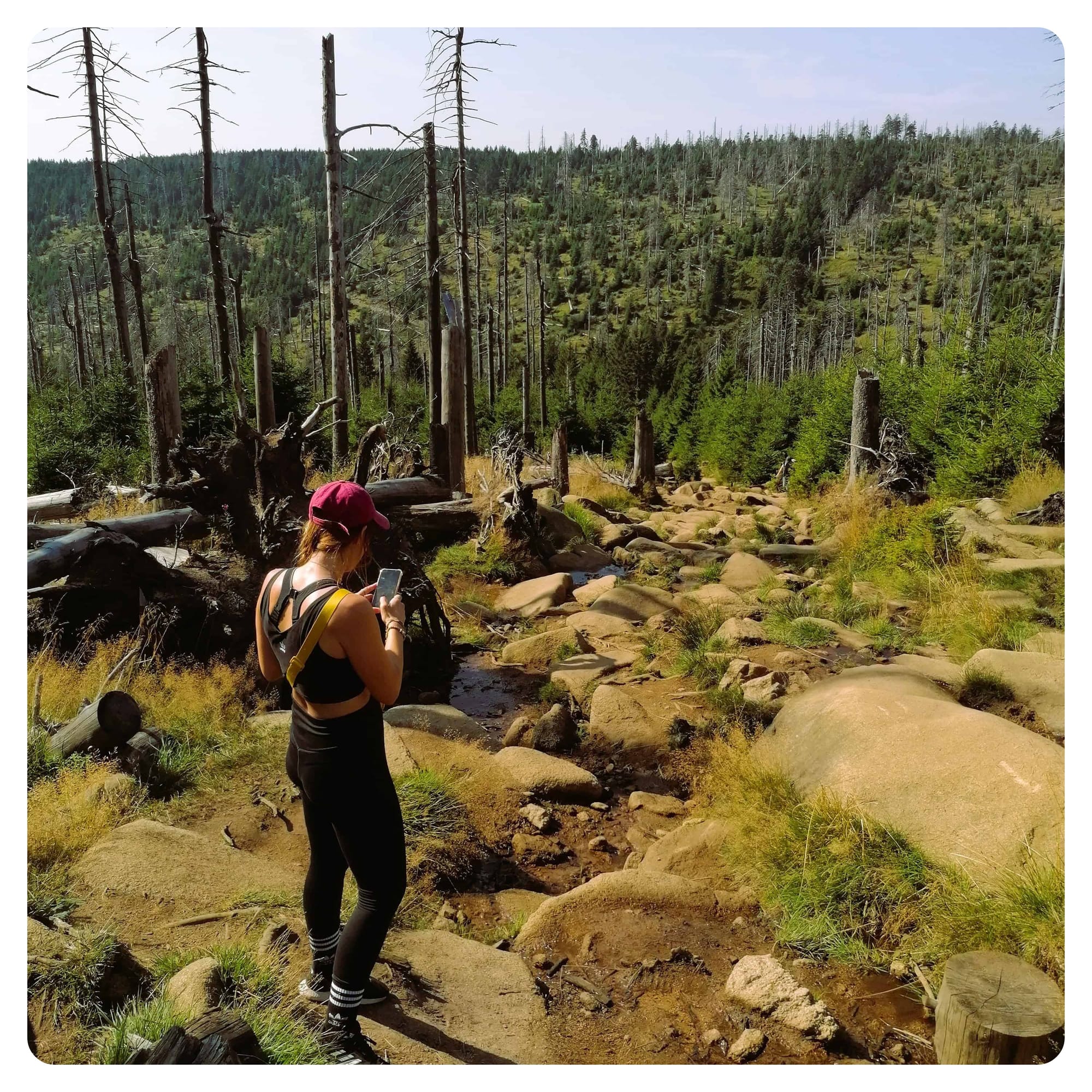 vanlife vanlavita woman hiking through Harz Mountain range in Germany