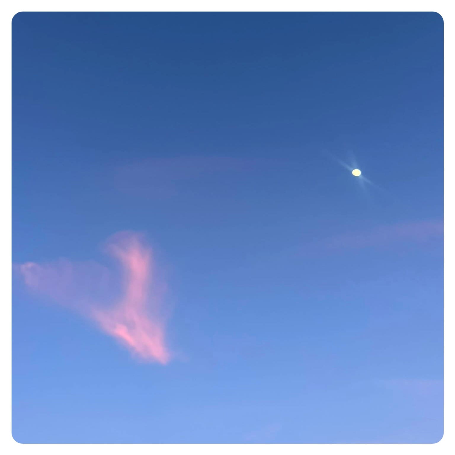 pink fluffy could with daytime moon in background