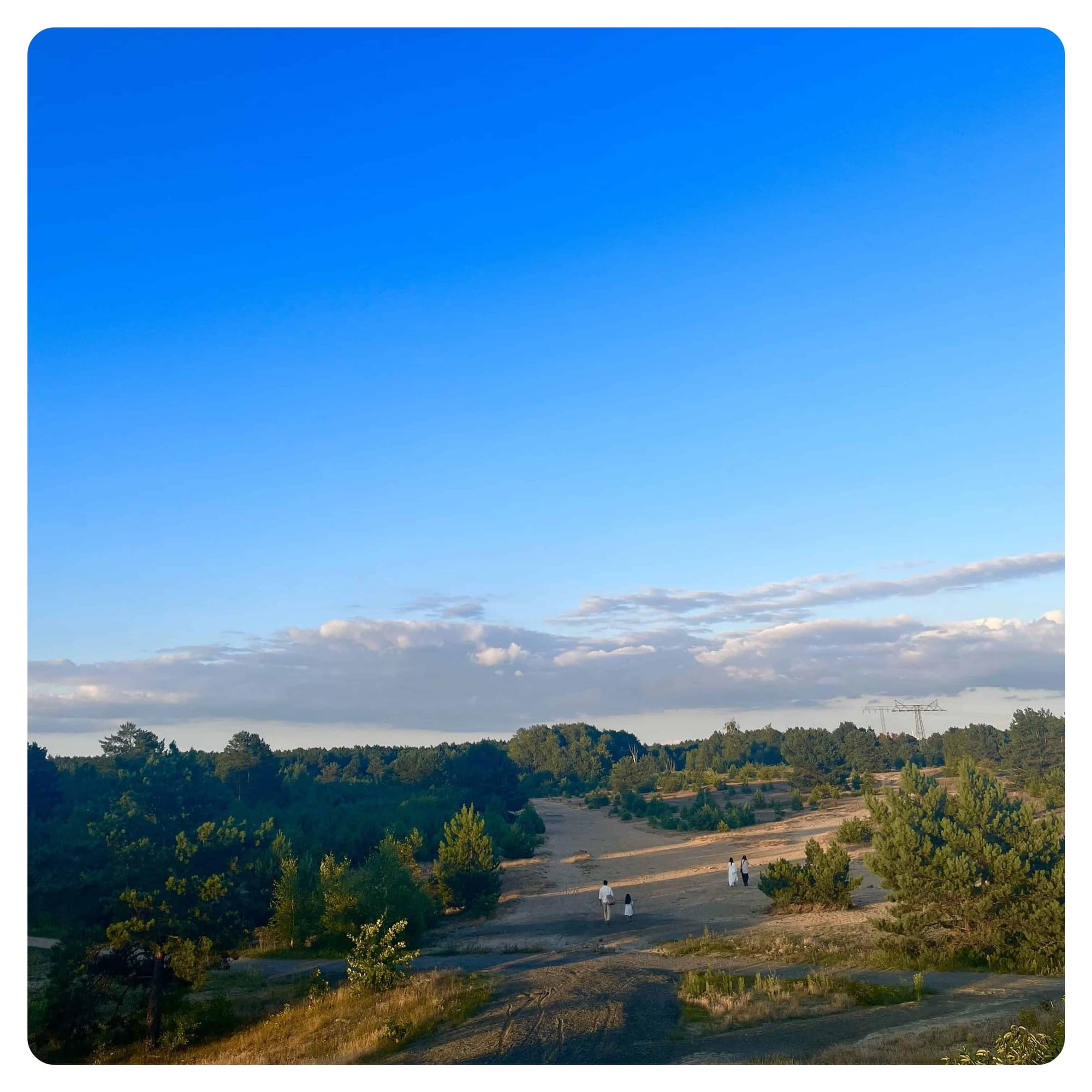 vanlavita walking trails across the Schonower Heide, Germany