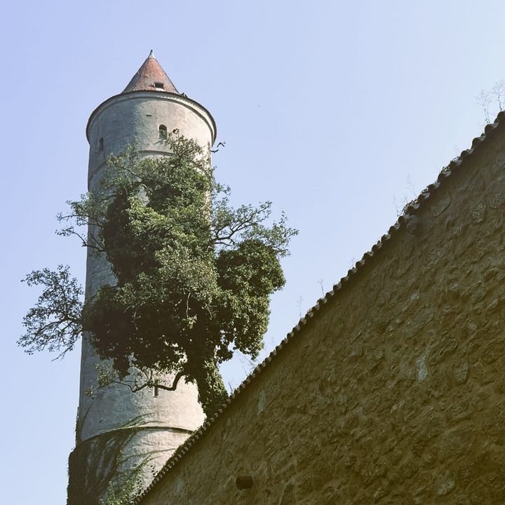 Explore Germany’s Romantic Road by Campervan