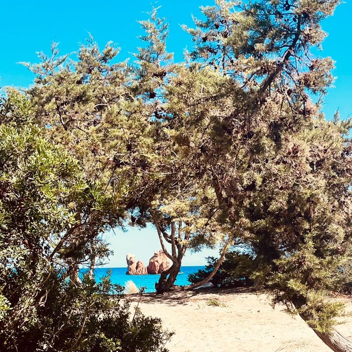 Van Life in Sardinia: The Truths No One Tells You