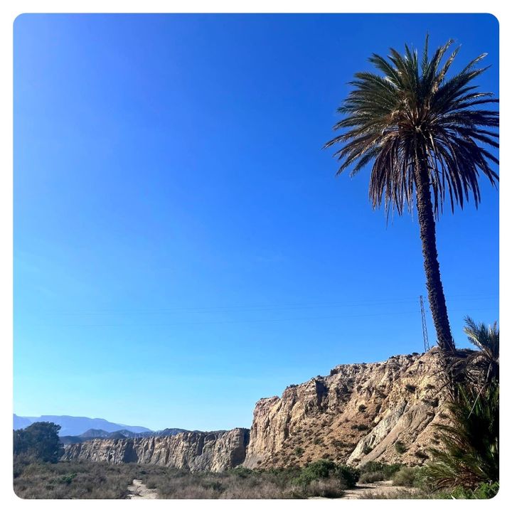 Discover Tabernas: Europe’s Only Desert