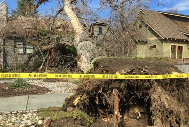 Creating a Check-in Policy to warn when checking into multiple branches at once