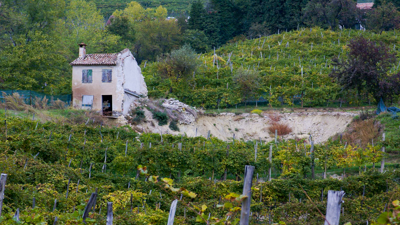 Did you miss my TechdaysNL talk on Code Reviews in TFS 2012?