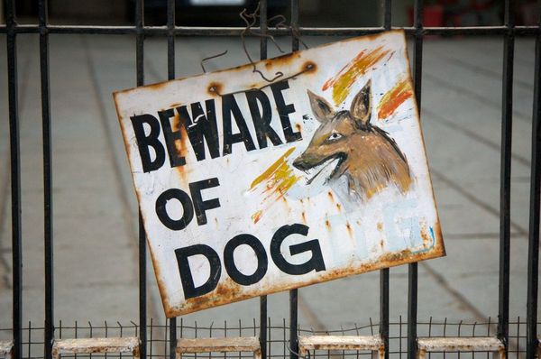 Fail your builds when tests are skipped in Azure DevOps Pipelines