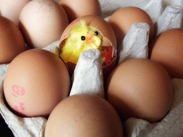 Decrypt BitLocker OS drive of corrupted windows installation