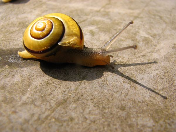 Investigating az-cli performance on the hosted Azure Pipelines and GitHub Runners