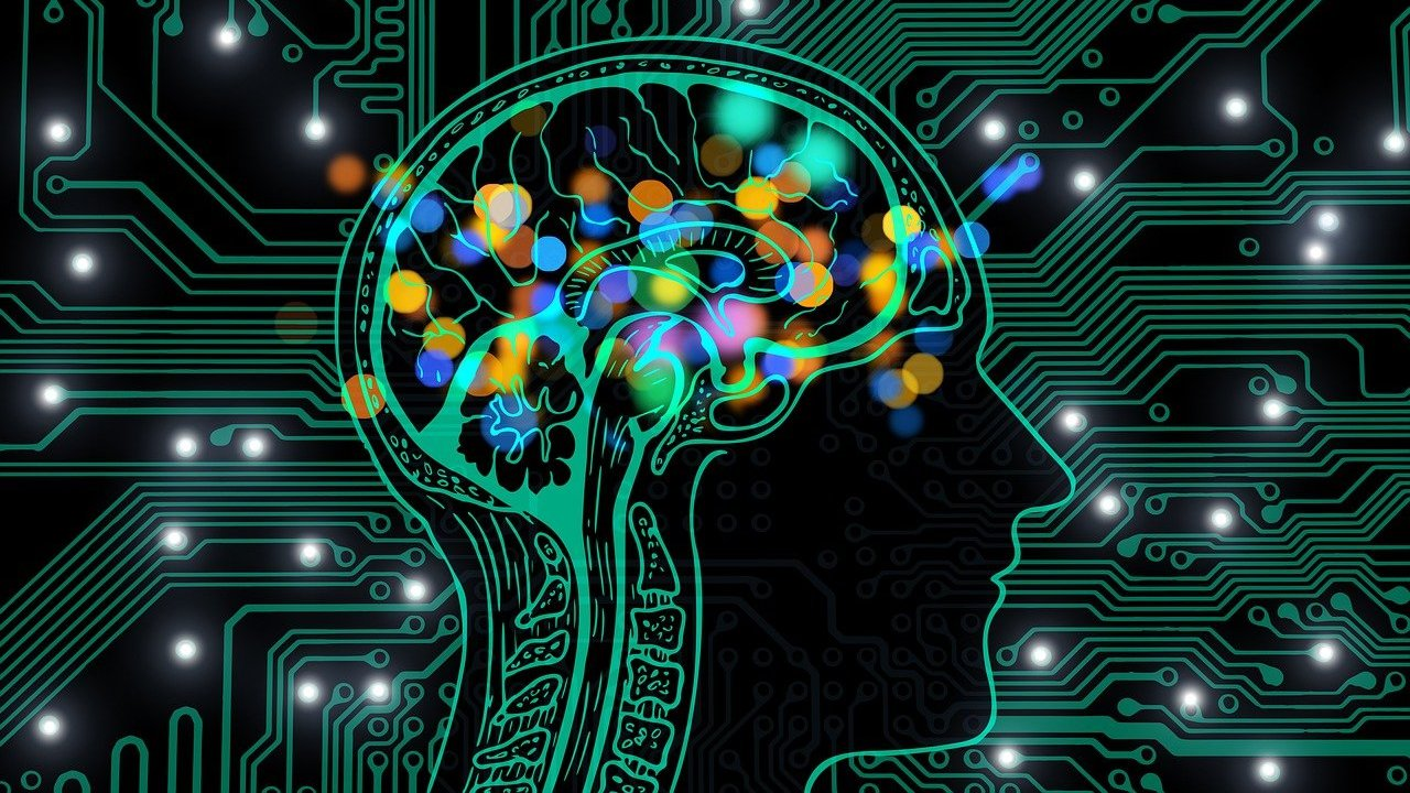 인간처럼 작동하는 AI의 뇌