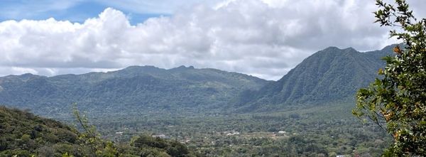 The Panama Chronicles (Pt.1)