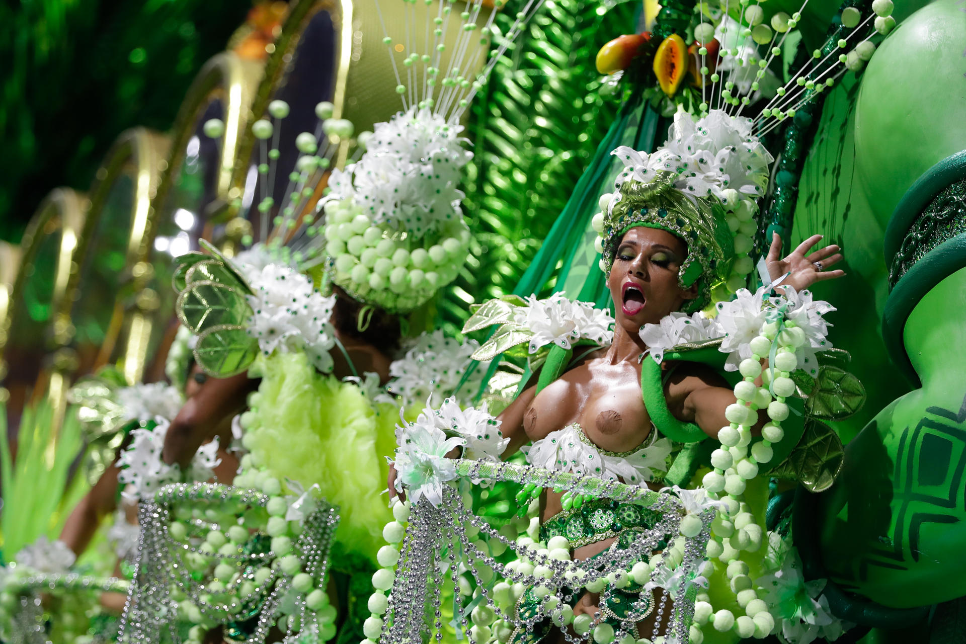 carnavales de rio de janeiro