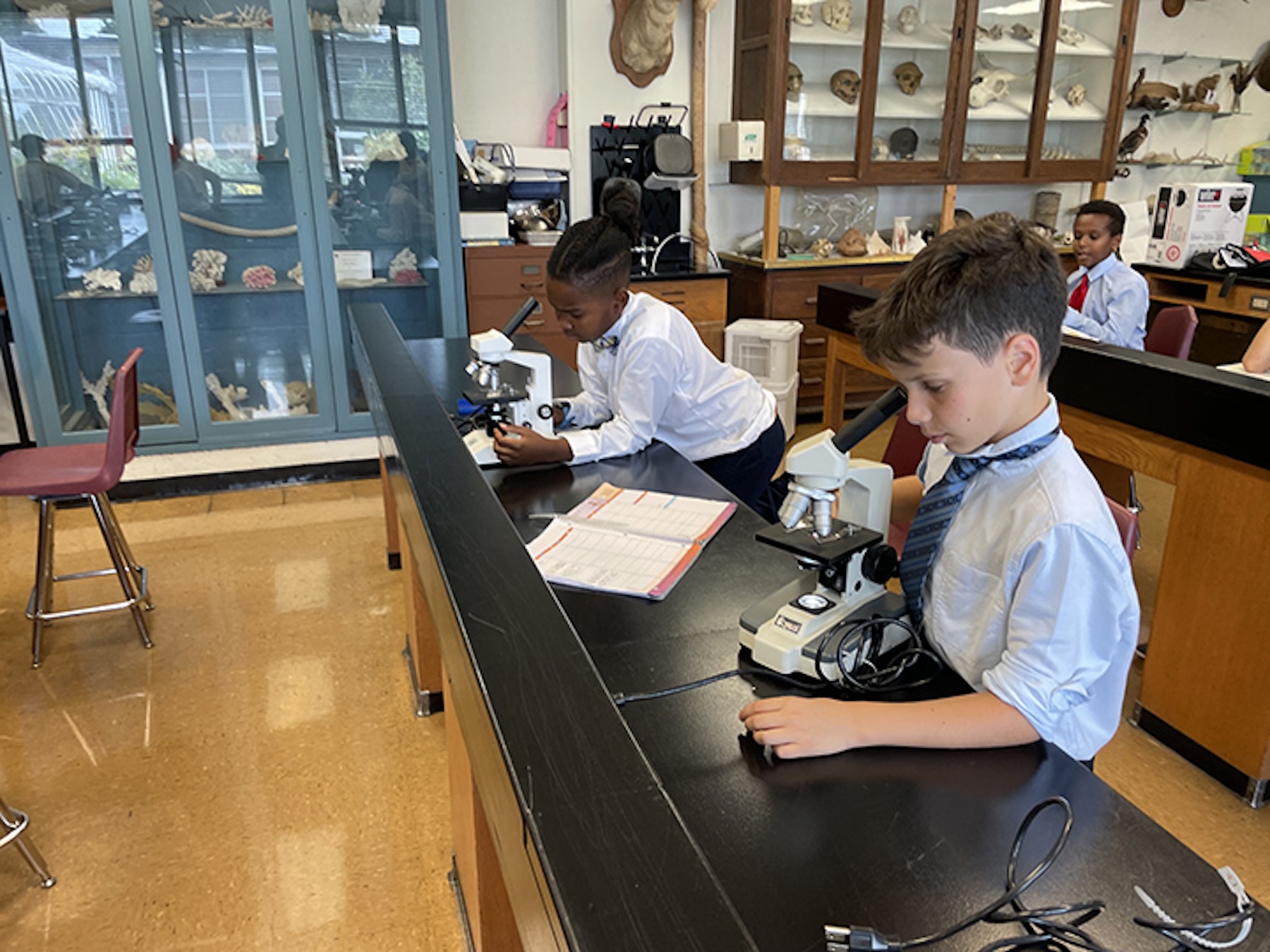 Escuelas de excelencia DMV