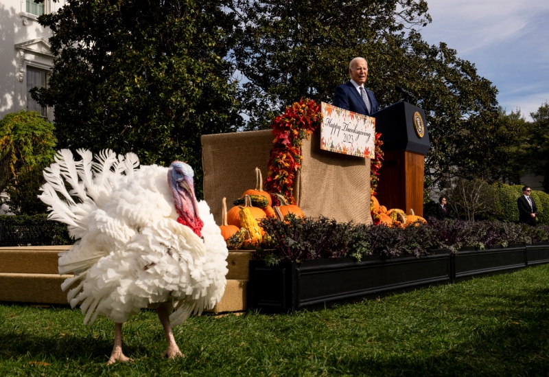 Biden perdón de pavos