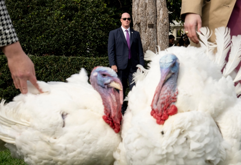 Biden perdón de pavos