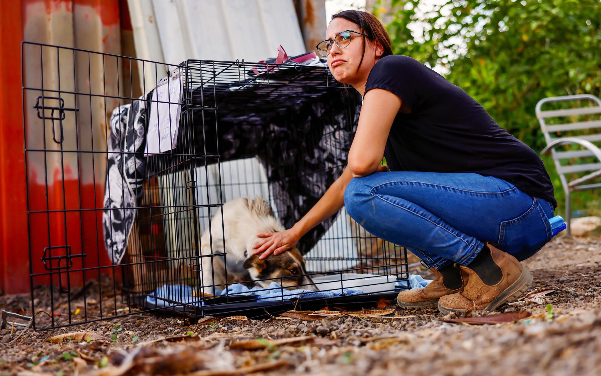 Mascotas rescatadas en Israel