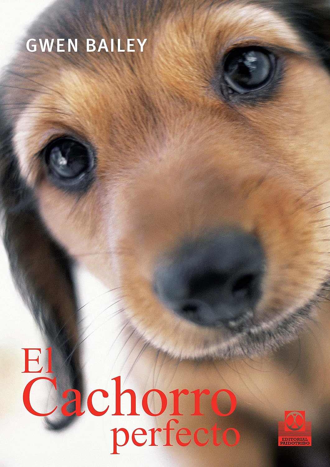 El cachorro perfecto de Gwen Bailey (2013)