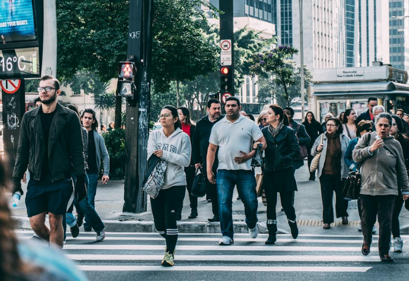 latinos campaña electoral. Grita. Canta. Vota