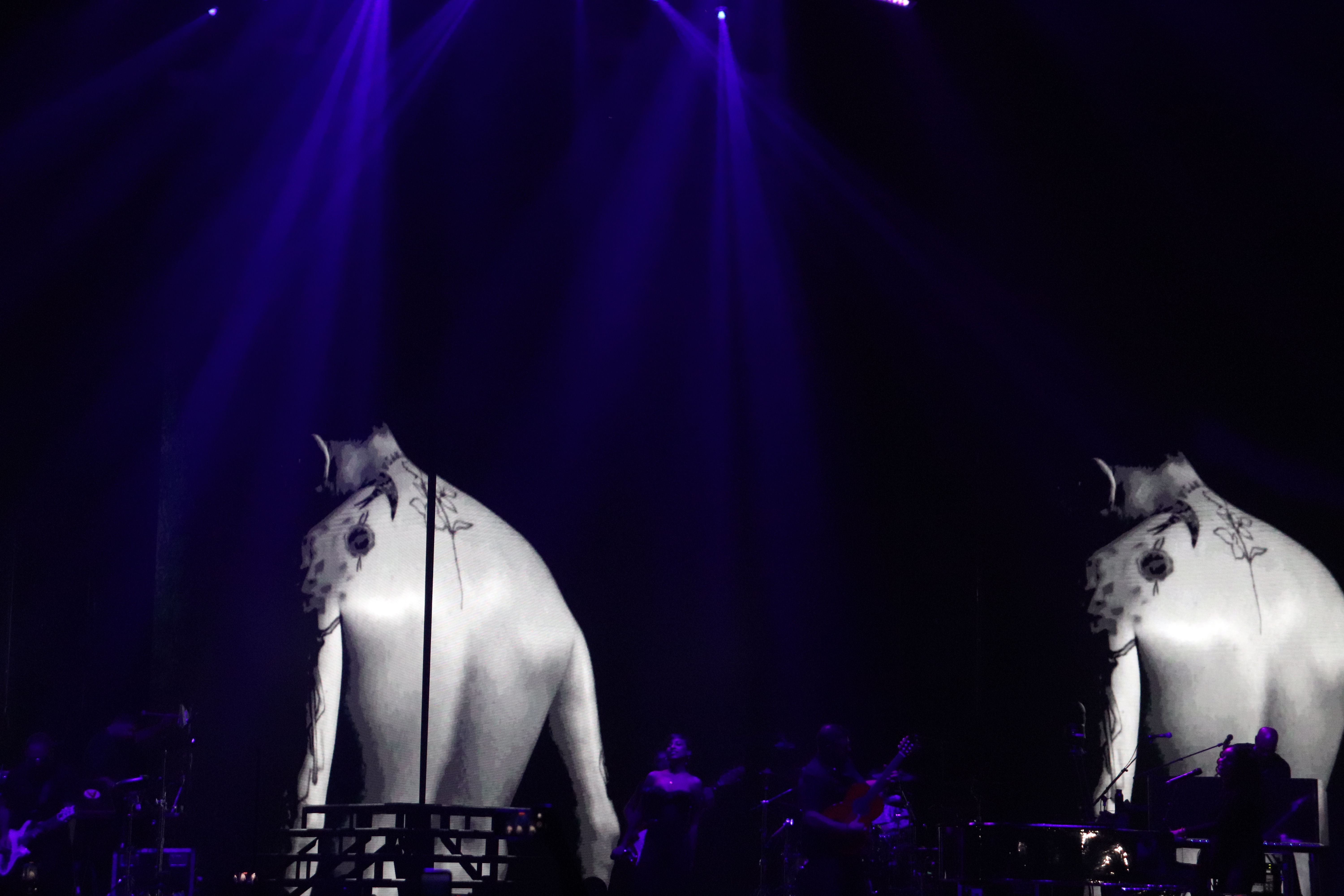 Concierto de Alejandro Sanz en DC. Foto. ETL