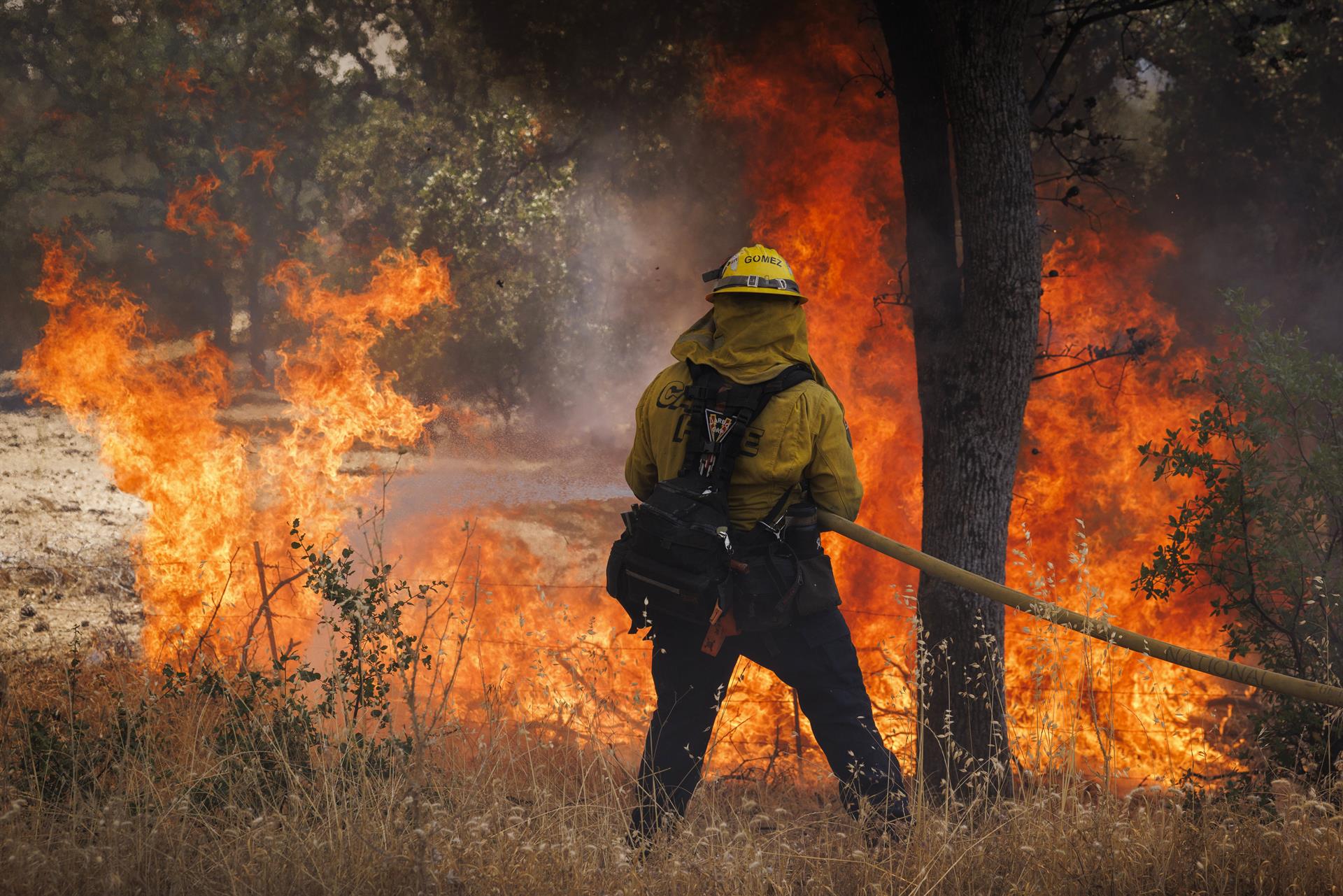 incendio forestal en Hawái