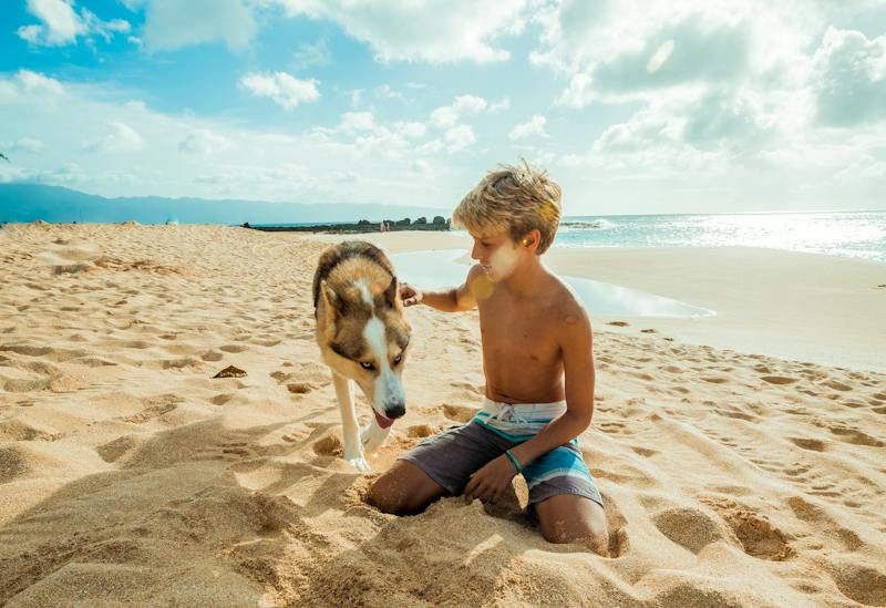 perros y niños. Playa