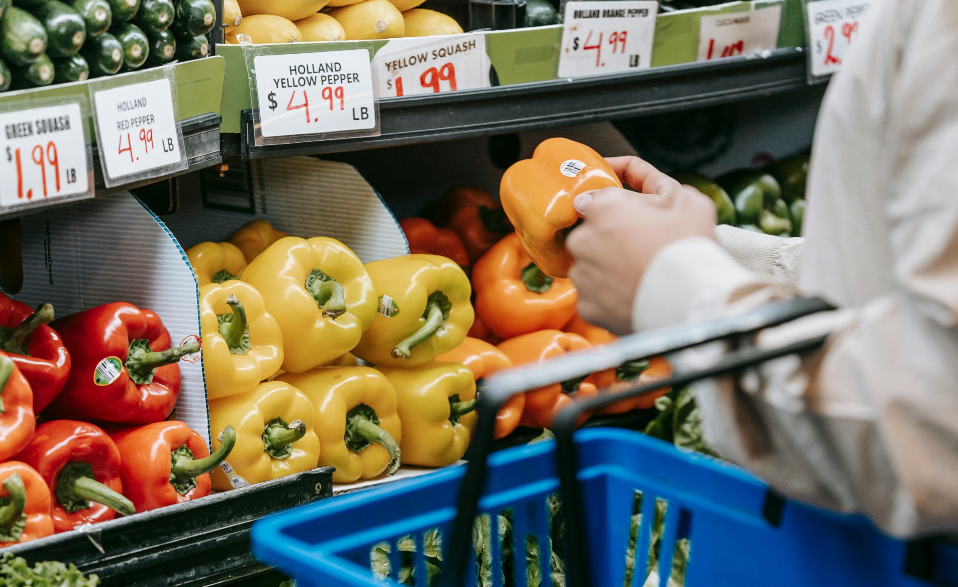 gastos en alimentación latinos 
