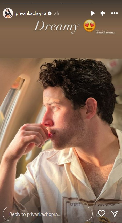 Nick Jonas "dreamy" de ensueño