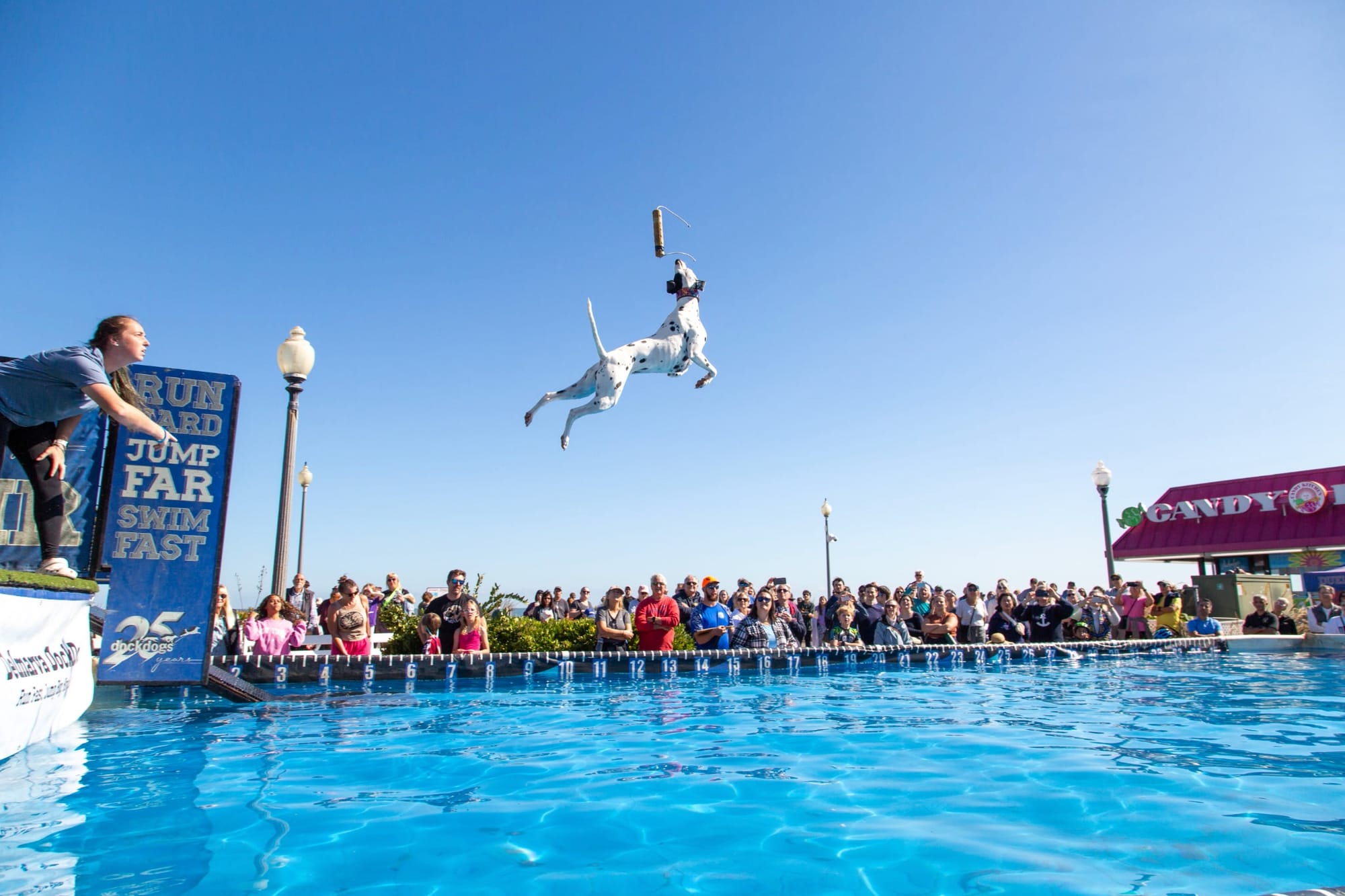 DockDogs debuta en Washington DC este verano en El Wharf el próximo 8 de&hellip;