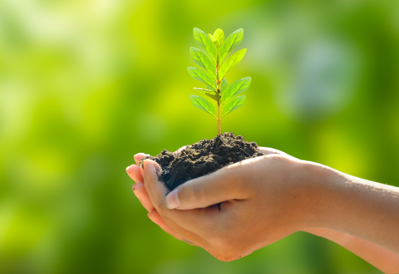 Un futuro vibrante y próspero es posible