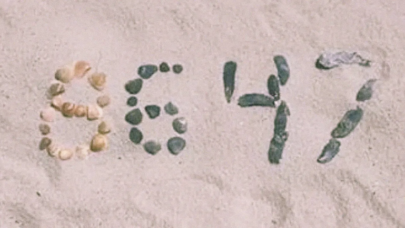 Teorías conspirativas versión conchas marinas