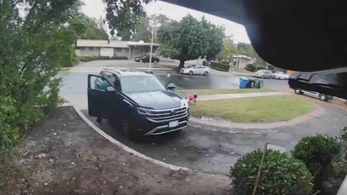 Cámara de seguridad captó cuando un coyote atacó a una niña dos años en California